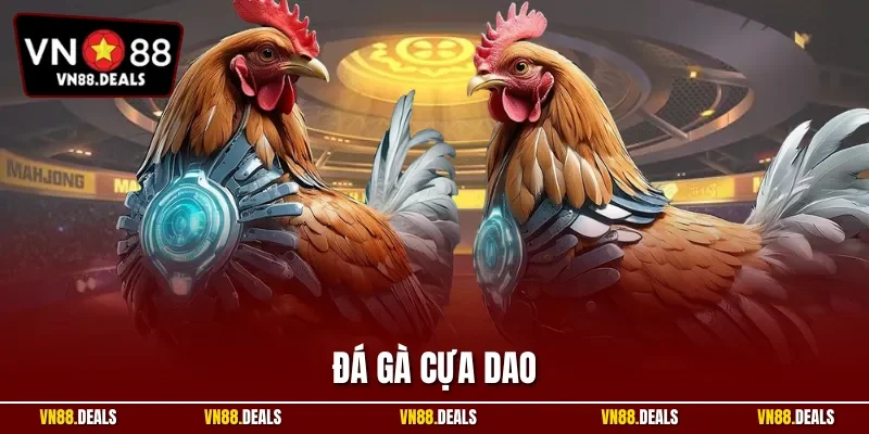 Đá gà cựa dao