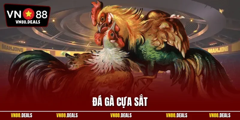 Đá gà cựa sắt