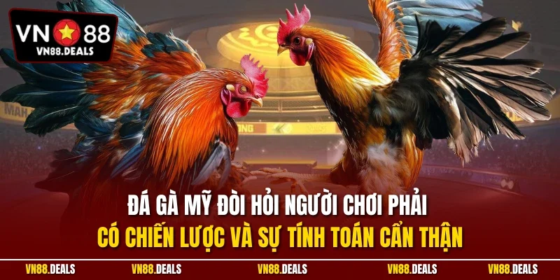 Đá gà Mỹ đòi hỏi người chơi phải có chiến lược và sự tính toán cẩn thận