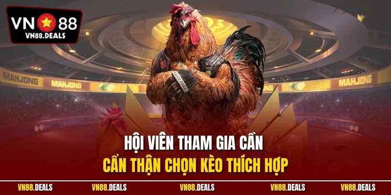 Hội viên tham gia cần cẩn thận chọn kèo thích hợp
