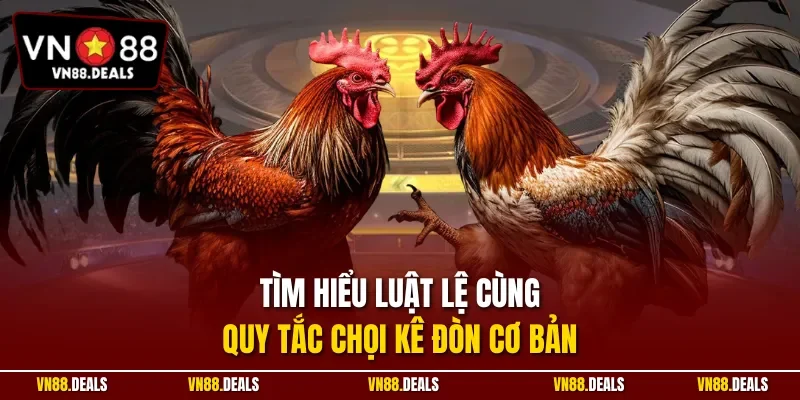 Tìm hiểu luật lệ cùng quy tắc chọi kê đòn cơ bản