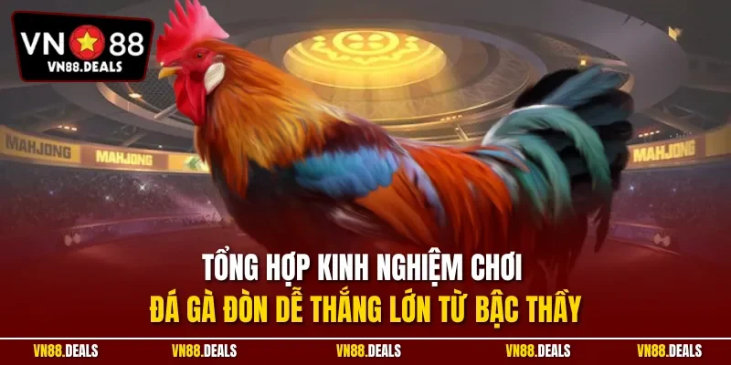 Tổng hợp kinh nghiệm chơi đá gà đòn dễ thắng lớn từ bậc thầy